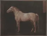 Mersad Berber, White Horse