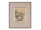 Max Švabinský, Orchids, 1959, Lithography, paper