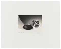 Tulips (Just to Thank You) by Robert Mapplethorpe, 1987, Gelatinesilberabzug, sold Dec 2025