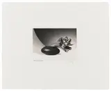 Robert Mapplethorpe, Tulips (Just to Thank You), 1987, Gelatinesilberabzug