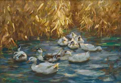 Alexander Koester, Enten im leuchtenden Herbstschilf, Pastell auf Papier
