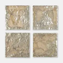 Anjali Srinivasan, 4 Quarters to a Whole (from the Mirror Painting series), 2010, blown and silvered glass, silicone, canvas