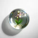 Paul Stankard, Botanical paperweight