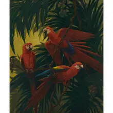 Karl Plath, Macaws