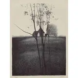 Robert Kipniss, Hilltop II, 1976