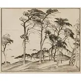 Gene Kloss, Wind Tossed Cypress, 1928