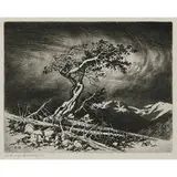 George Elbert Burr, Timberline Pine, 1917