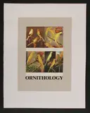 Sir Peter Blake, Untitled, Sir Peter Blake RA (b.1932) 'O is for Ornithology' screenprint in colours