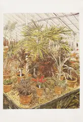 Olwyn Bowey, Untitled, both signed and numbered 21/250 and 34/250 in pencil 63 x 46cm