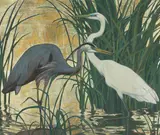 Jessie Arms Botke, A Great Blue Heron and a Great Egret in a Marsh