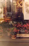 Max Kozloff, IBM Display, 1977, color photograph