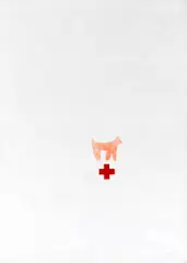 Lois Lane, White Grand, Pink Dog, Red Cross, oil on canvas