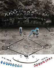 Untitled by William Wegman, black and white photograph altered with watercolor, sold Nov 2005