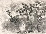 Lynton Wells, Untitled, 1980/81, charcoal on paper with collage