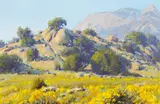 Wilson Hurley, Field Study: An Afternoon in October at Spring Creek, oil on masonite