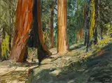 Karl Yens, Redwoods, Yosemite National Park, 1919, oil on canvas laid down