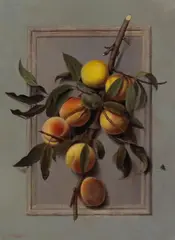 Samuel Marsden Brookes, A Still Life with Peaches, 1881, oil on canvas