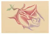 Judy Chicago, Almost Born