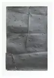 Nancy Rubins, Untitled, 1994, Graphite on paper collage with steel push pins on painted medium density fiberboard