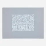 Timothy Nolan, Untitled, 2002, oil stick on Mylar