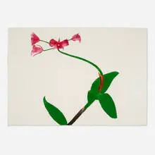 Ed Baynard, Pomegranate Red Orchid, 1980, aquatint in colors