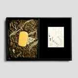 Claes Oldenburg, The Soap at Baton Rouge, 1990, cast resin, aluminum silicate, screenprint on acetate, book, cloth covered portfolio box