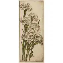 Bertha Jaques, Carnations, 1930