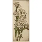 Bertha Jaques, Carnations, 1930