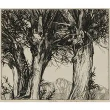 Roi Partridge, Pollard Willows, 1923