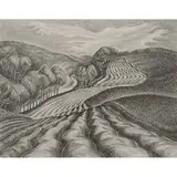 Wanda Gág, Ploughed Fields
