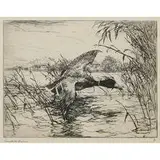 Frank Weston Benson, Mallard Drake, 1917