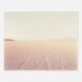 Richard Misrach, Tracks, Black Rock Desert, Nevada (from Desert Canto VIII: The Event II)