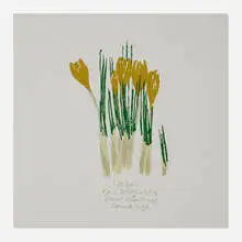 crocuses for spring by Corita Kent, 1980, screenprint in colors, sold Jan 2020