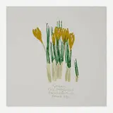 Corita Kent, crocuses for spring
