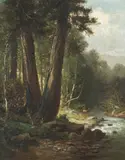 Frederick Schafer, On Boulder Creek, Santa Cruz Mountains, California