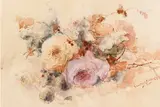 Franz Bischoff, Roses