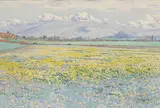 Gunnar Widforss, A Field of Wildflowers, 1914, pencil, watercolor and gouache on paper