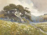 Percy Gray, Wildflowers Beneath the Oaks