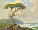 Percy Gray, Cypress Along the Monterey Coast, oil on canvas board