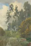 Percy Gray, A Grove of Eucalyptus