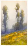 Percy Gray, Poppies and Sycamores Along a Hillside