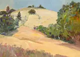 Selden Connor Gile, Hill in Marin