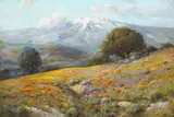 Angel Espoy, Wildflowers on a Hillside near Bakersfield, California, oil on canvas