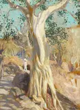 Hermann Dudley Murphy, California Cypress, oil on panel