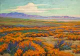 Arthur Merton Hazard, Flowers in Bloom, Mojave Desert, California, oil on board