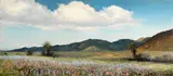 Robert Wood, Lupine and Owl Clover