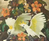 Jessie Arms Botke, Sulphur Crested Cockatoos