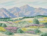Carl Sammons, Mountains, Primroses, Verbenas and Desert Gold, Palm Springs, oil on canvas board