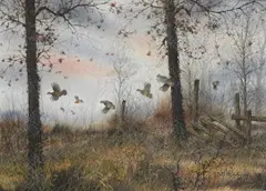 David Hagerbaumer, Grouse Taking Off, 1978, watercolor on paper