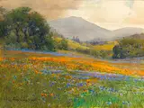 Percy Gray, Poppies and Lupine in Bloom with Mt. Tamalpais in the Distance
